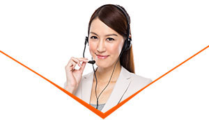 Support Agent
